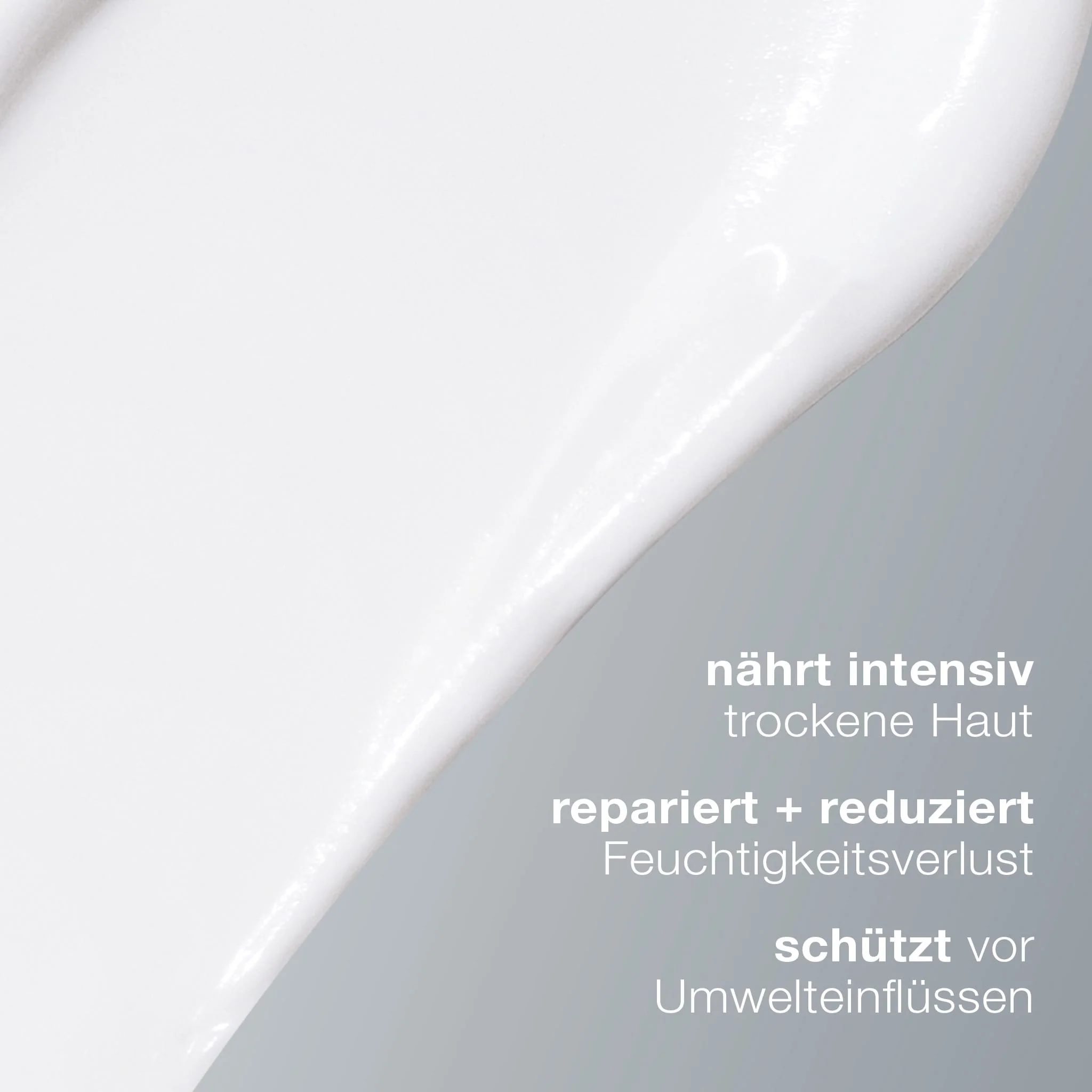 Super Rich Repair - Image 4